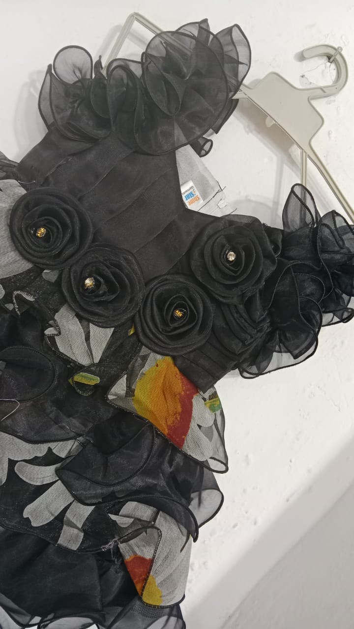 Elegant Black Princess Frock